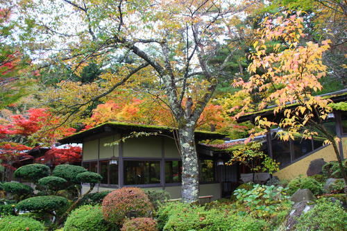 20251031teien (6).JPG