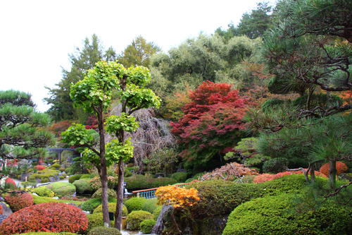 20251031teien (7).JPG