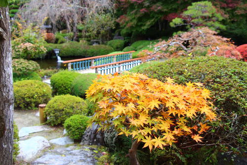 20251031teien (8).JPG