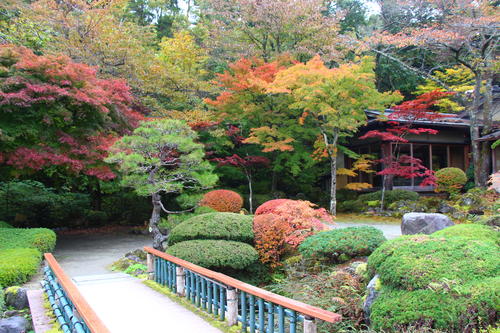 20251031teien (9).JPG