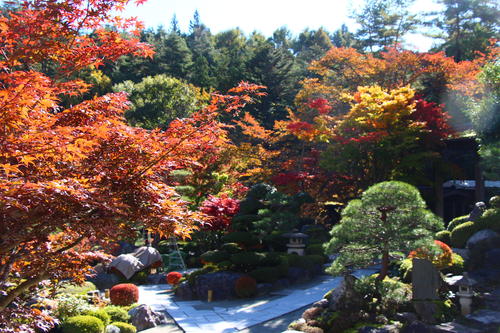 20251103teien (1).JPG