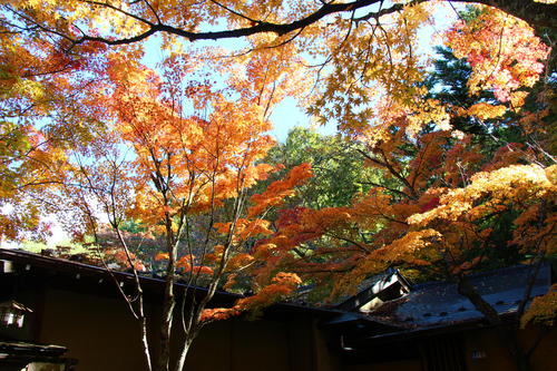 20251103teien (10).JPG