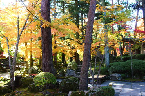 20251103teien (11).JPG