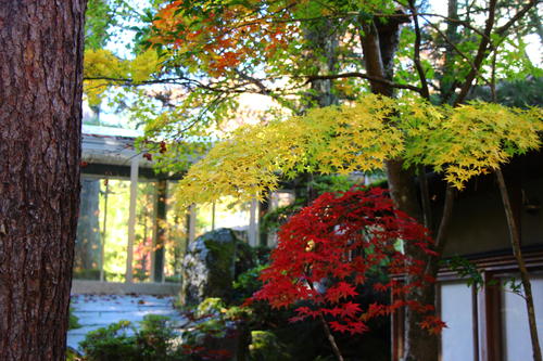 20251103teien (12).JPG