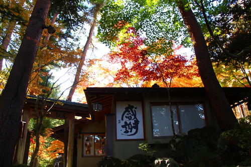 20251103teien (13).JPG