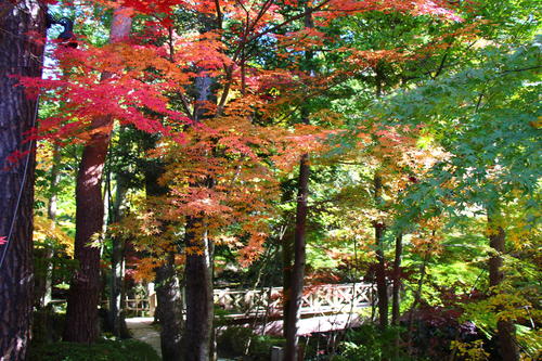 20251103teien (14).JPG