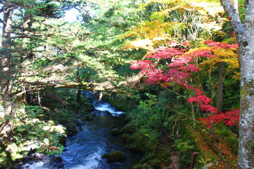 20251103teien (15).JPG