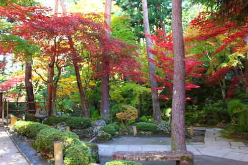 20251103teien (16).JPG