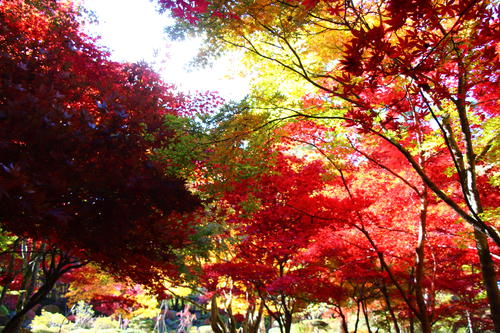 20251103teien (17).JPG