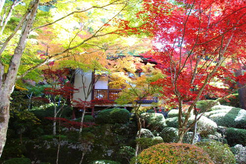 20251103teien (18).JPG