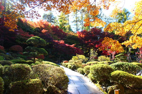 20251103teien (19).JPG