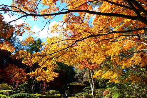 20251103teien (20).JPG