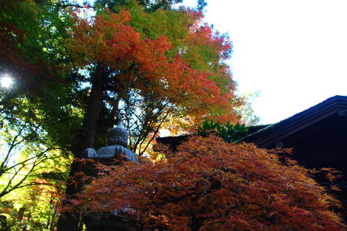 20251103teien (23).JPG