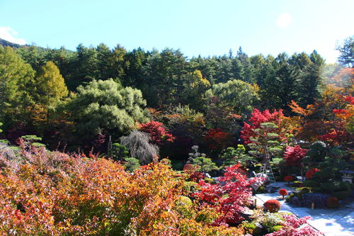 20251103teien (24).JPG