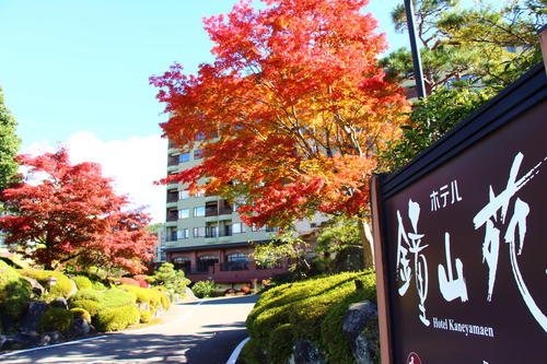 20251103teien (25).JPG