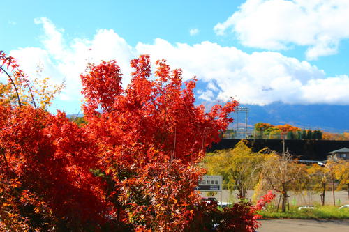 20251103teien (26).JPG