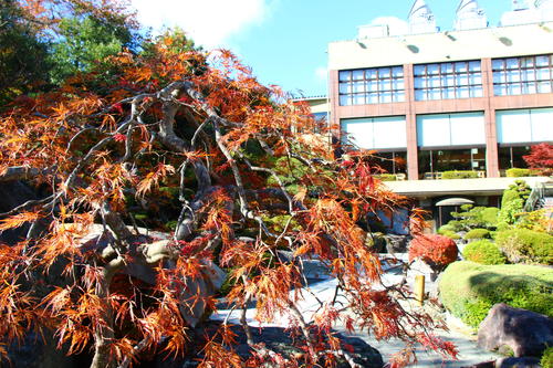 20251103teien (3).JPG