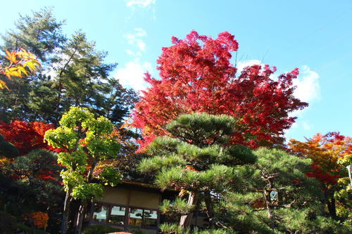 20251103teien (5).JPG