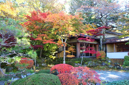 20251103teien (7).JPG