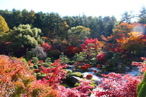 20251107teien (1).JPG