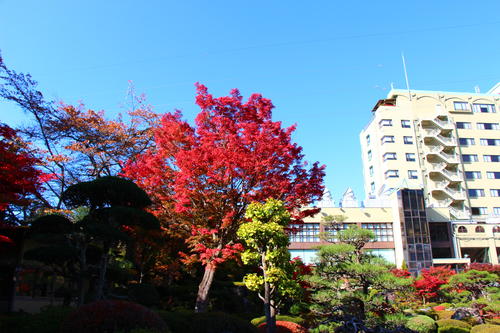 20251107teien (10).JPG