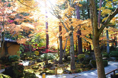 20251107teien (12).JPG