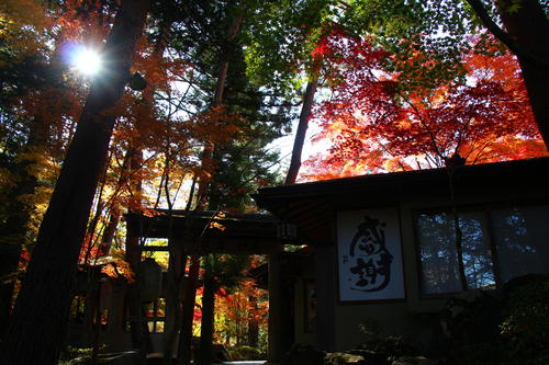 20251107teien (15).JPG