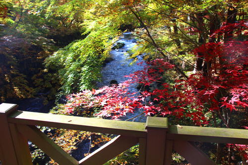 20251107teien (18).JPG