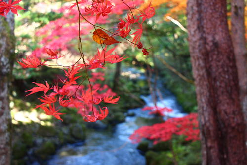 20251107teien (19).JPG