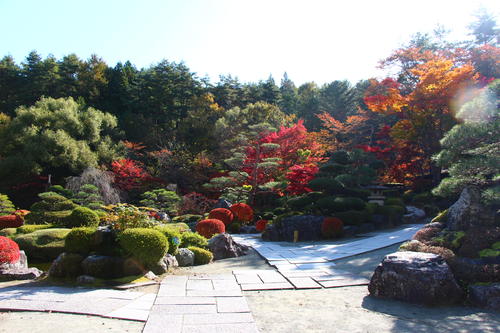 20251107teien (2).JPG