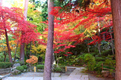 20251107teien (21).JPG