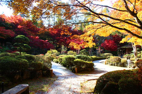 20251107teien (22).JPG