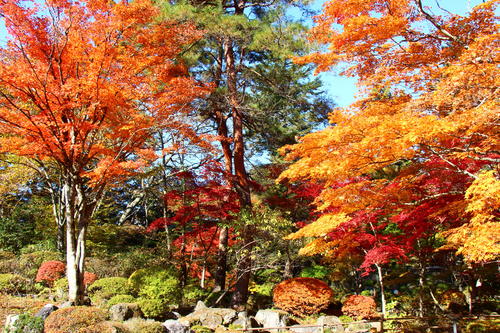 20251107teien (23).JPG