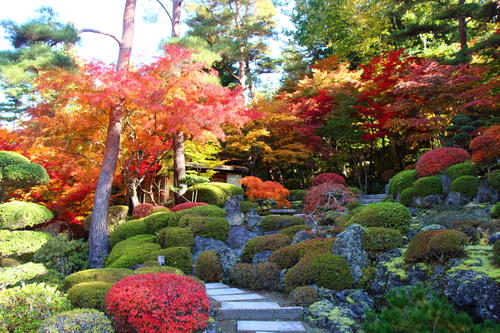 20251107teien (24).JPG