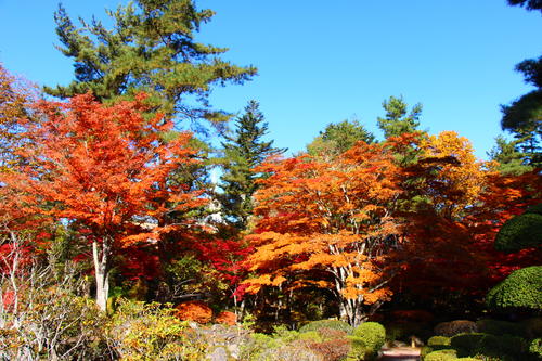 20251107teien (25).JPG