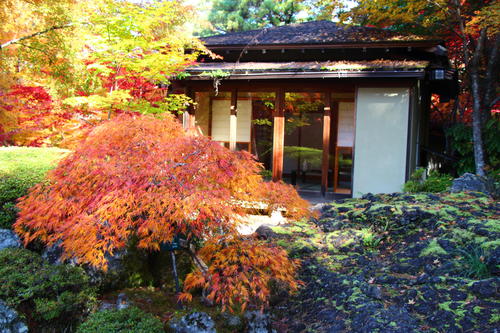 20251107teien (26).JPG