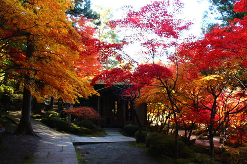 20251107teien (27).JPG