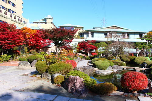 20251107teien (3).JPG