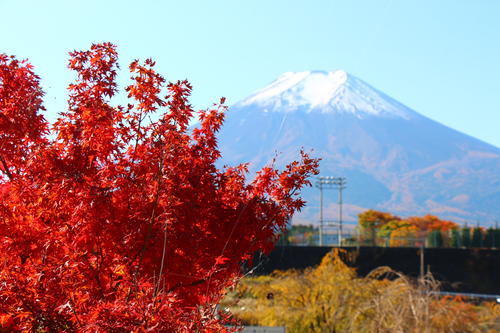 20251107teien (31).JPG