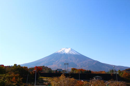 20251107teien (32).JPG