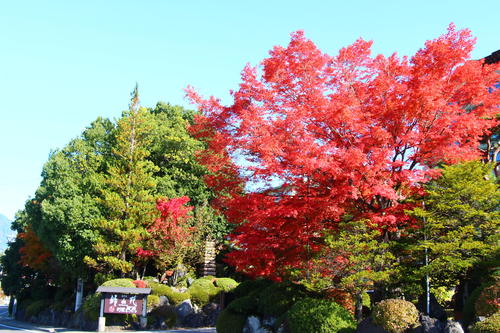 20251107teien (34).JPG