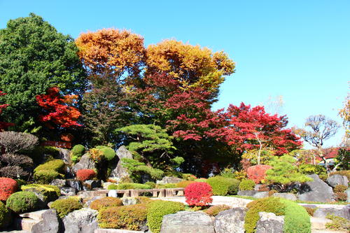 20251107teien (36).JPG