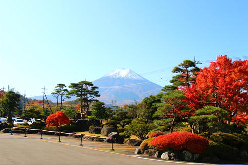 20251107teien (37).JPG