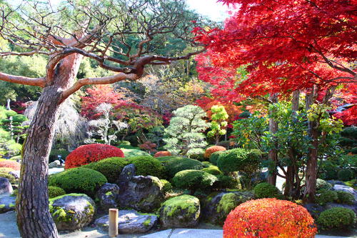 20251107teien (4).JPG