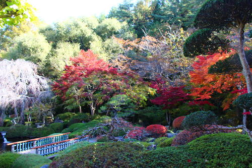 20251107teien (6).JPG