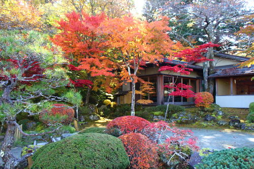 20251107teien (7).JPG