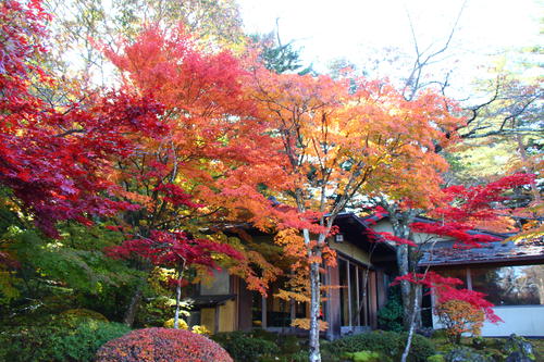 20251107teien (8).JPG