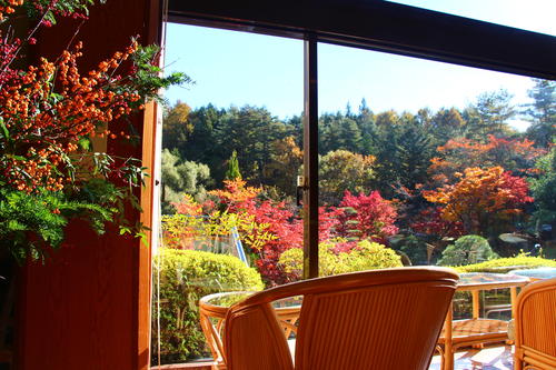 20251110teien (1).JPG