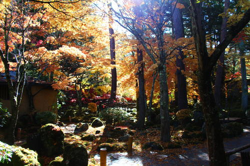 20251110teien (11).JPG