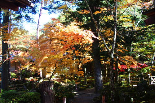 20251110teien (15).JPG